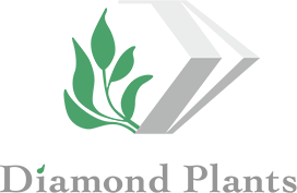 Diamond Plants